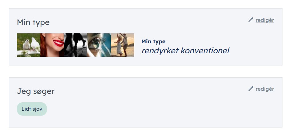 C-Date Profil Eksempel 2