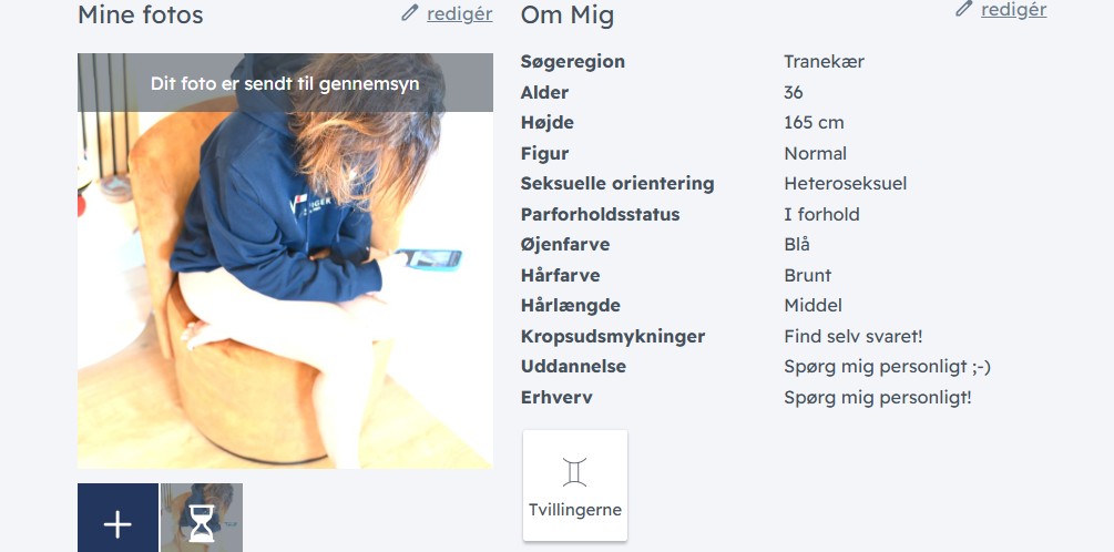 C-Date Profil Eksempel 1
